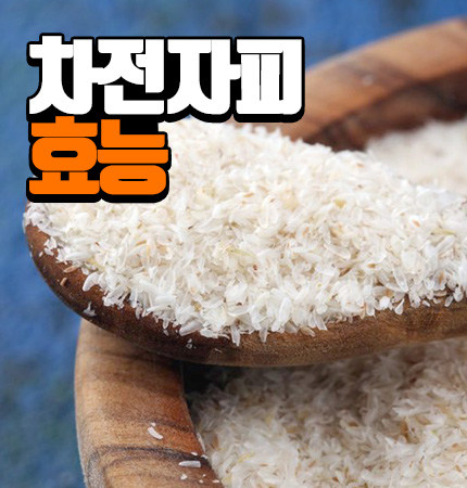  차전자피 효능, 부작용 '연구로 확인된 효과'