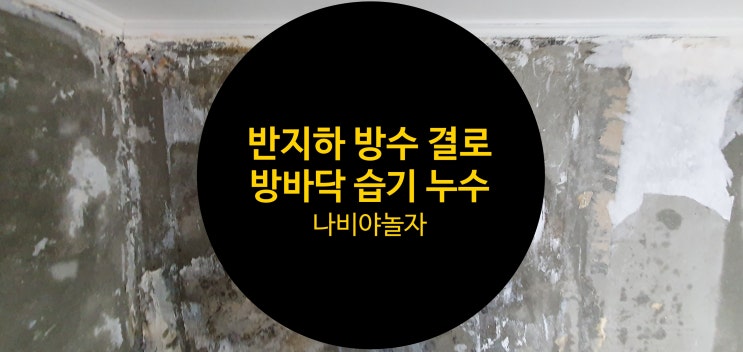  은평구 주택 반지하 방바닥 벽의  누수  습기 방수 벌레를 한번에 싹 잡았어요.