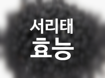  서리태 효능 가격