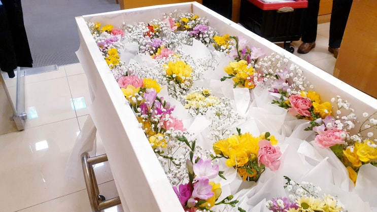 장례 염 믿을 수 있는 상조를 통해서 진행 했어요. 장례 염 믿을 수 있는 상조를 통해서 진행 했어요.