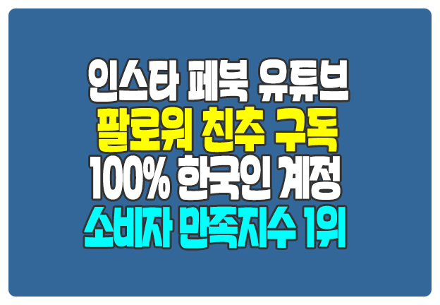 인스타 페이스북 유튜브 한국인 팔로워 친구 추가 구독 후기