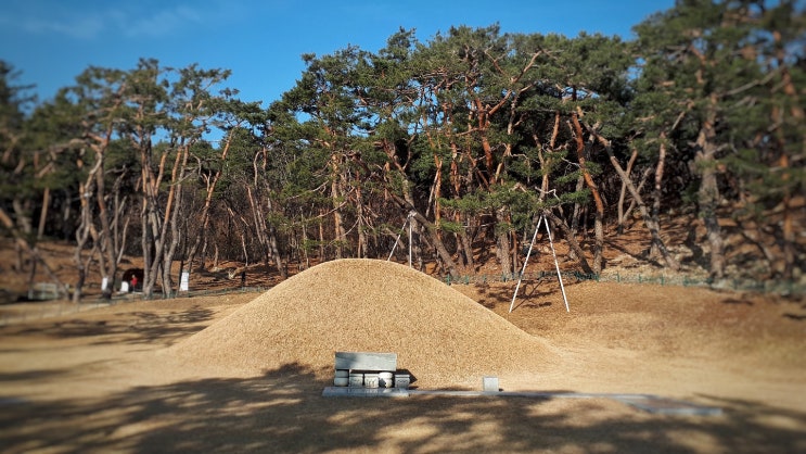  경주 역사 여행지 탈해왕릉과 표암