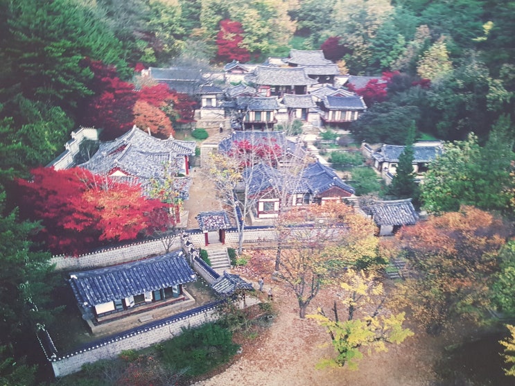  도산서원 자녀교육으로 좋을 문화유산