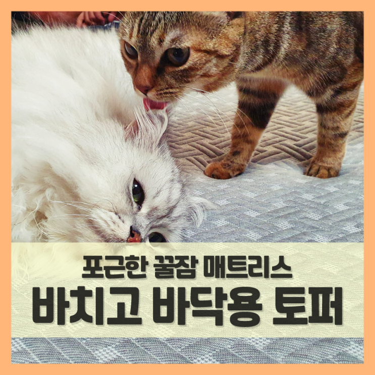  바닥용 토퍼 바치고, 꿀잠 매트리스였네!