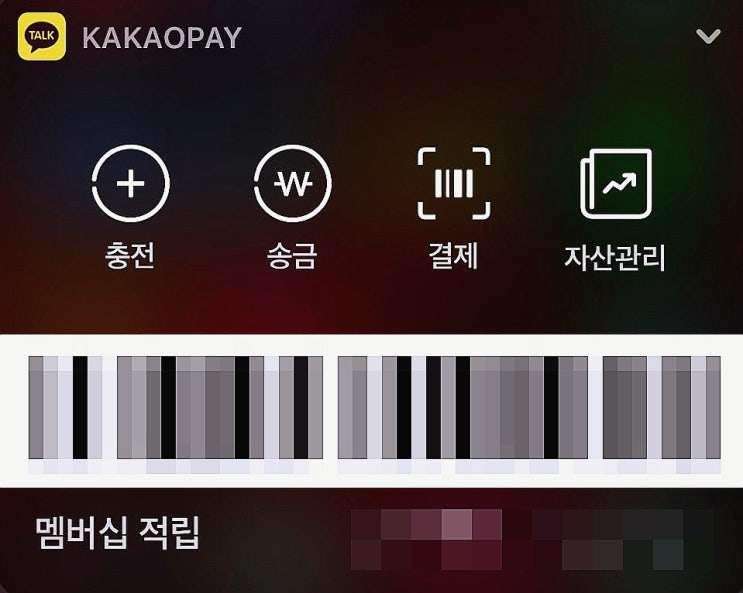  아이폰 카카오페이 위젯 등록 결제 간단한 2가지