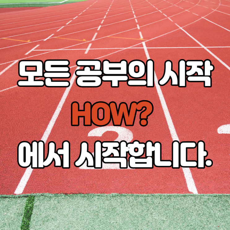  전농동 청량리 초등 중등 고등 공부 방법 코칭 과외