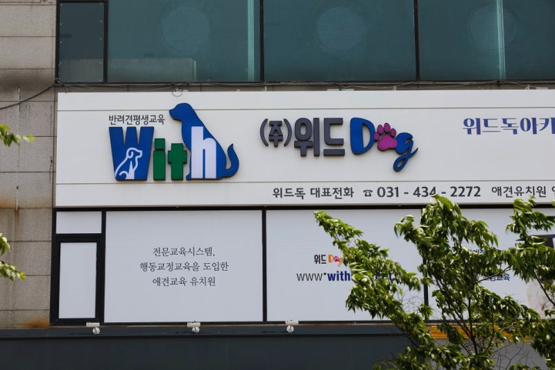 위드독 애견유치원