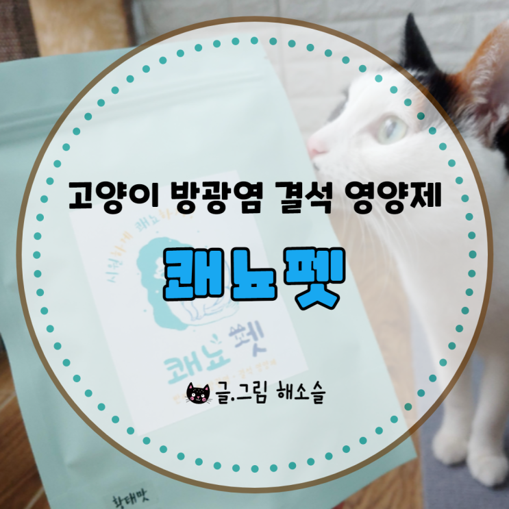  고양이 방광염 결석 영양제 쾌뇨펫으로 먼저 챙겨주세요.