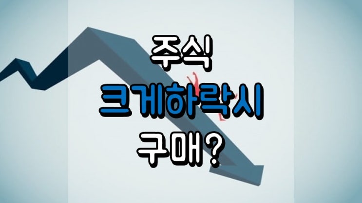 주식이 크게 하락할 때 구매한다면??