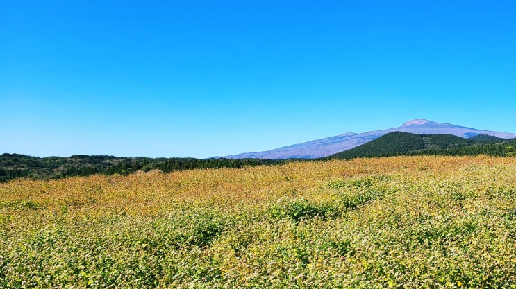  제주살기 하기 좋은 곳, 살기 좋은 남원읍 위미리 2편 - 관광지