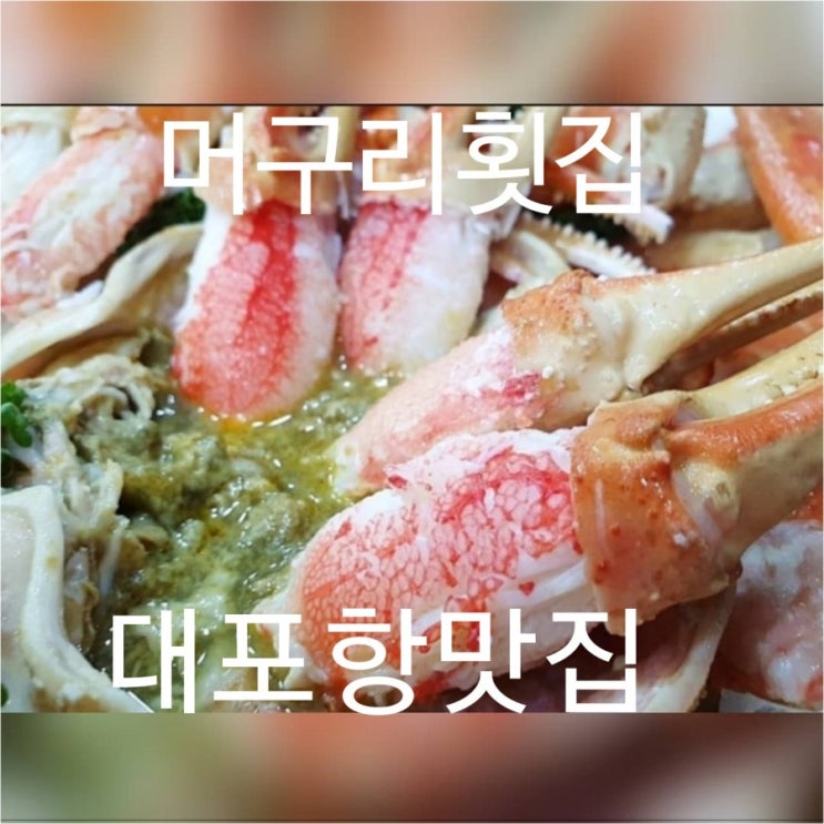  대포항맛집 찾아가는집