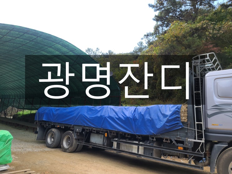  수도권 교통 중심 명품도시 광명 잔디 배송