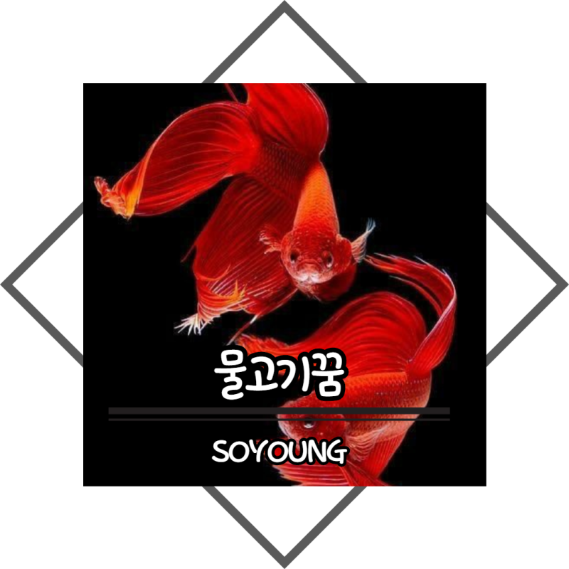 큰 물고기 꿈과 검은물고기 꿈에는 어떤게 있을까?
