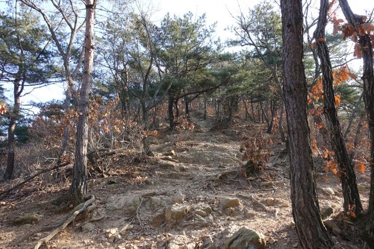  상복부 팽만 통증 원인