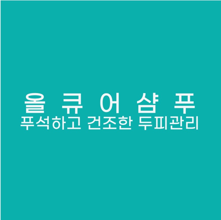  푸석하고 당기고  간지럽고 건조한 두피 "올큐어샴푸"로 해결