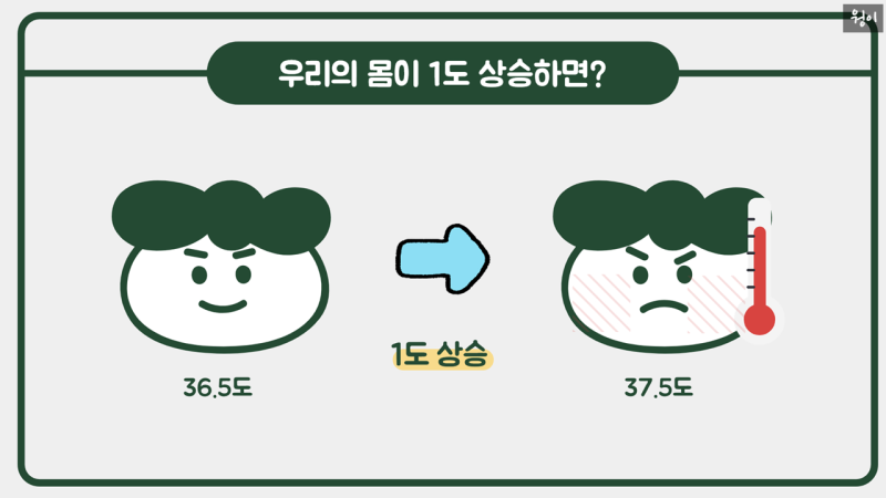 SE-6365f0d0-7716-44c1-a713-67b9cfac82a5.png?type=w800
