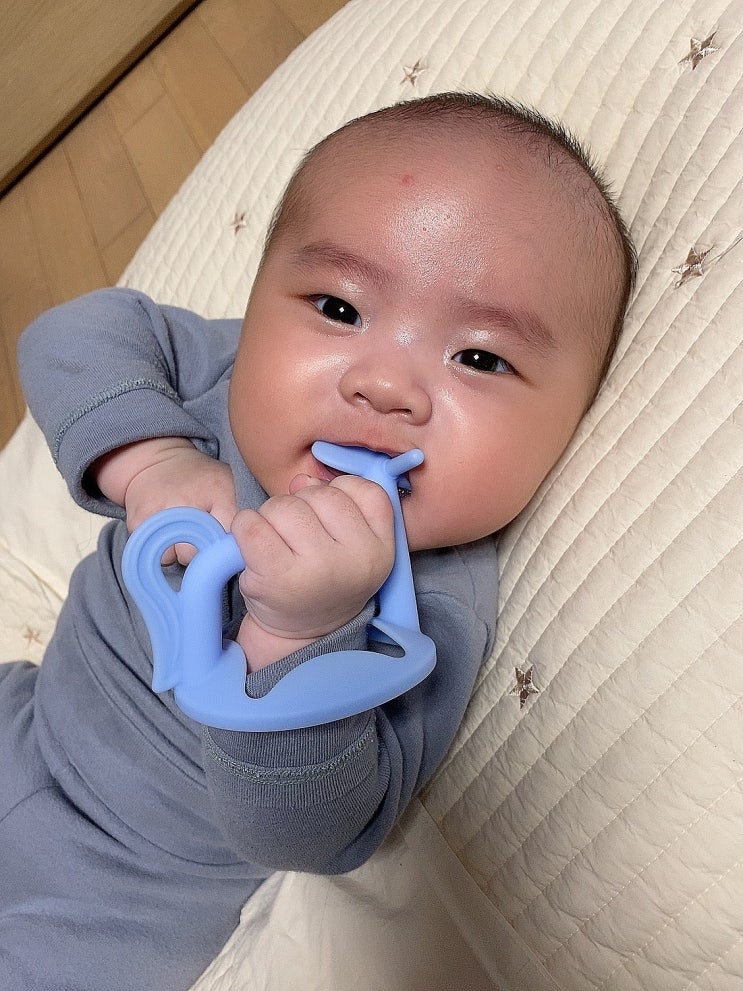  하동이 육아일기