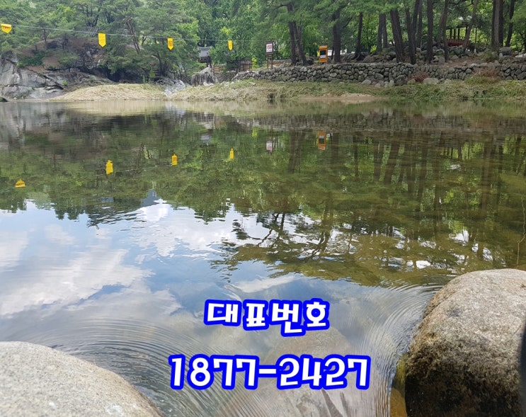  부자가 되는 노하우를 알려 준다고