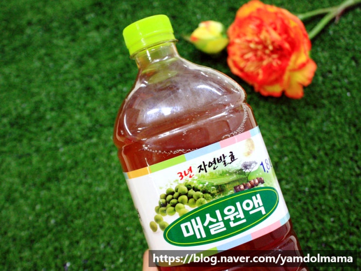  매실 액기스 조성한옥마을 3년 발효 매실 원액 간편하게 사용하기