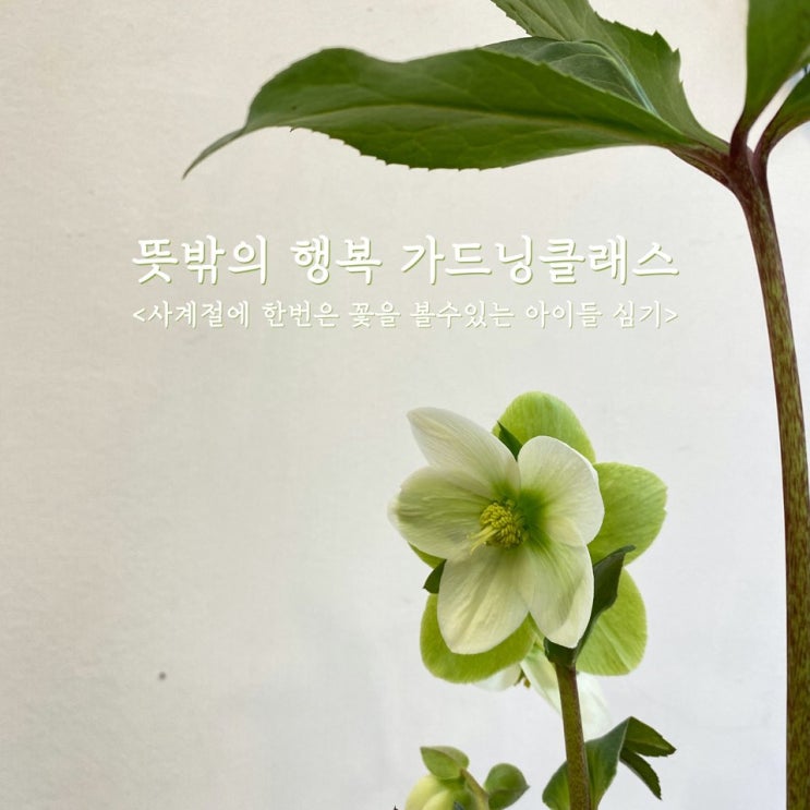  뜻밖의행복 가드닝 클래스_이태원 경리단길