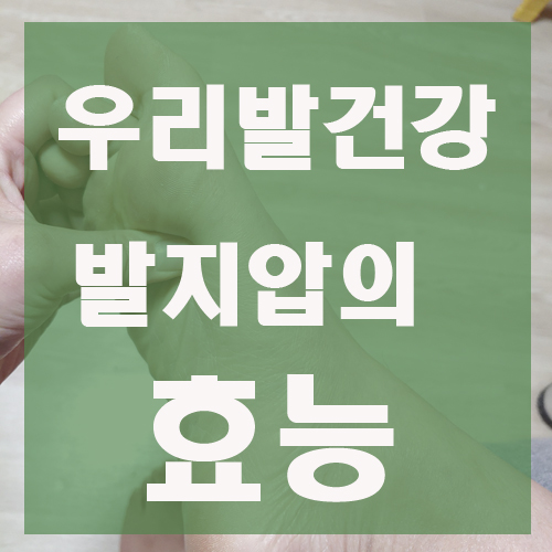 발 지압 효능 스내치 지압슬리퍼로 발 건강 해결하기