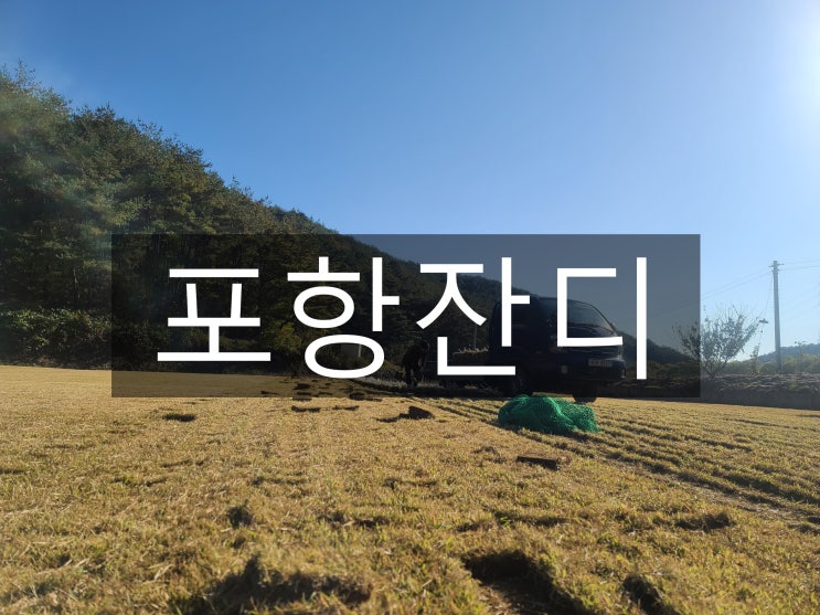  탁 트인 바다 포항 잔디 배송