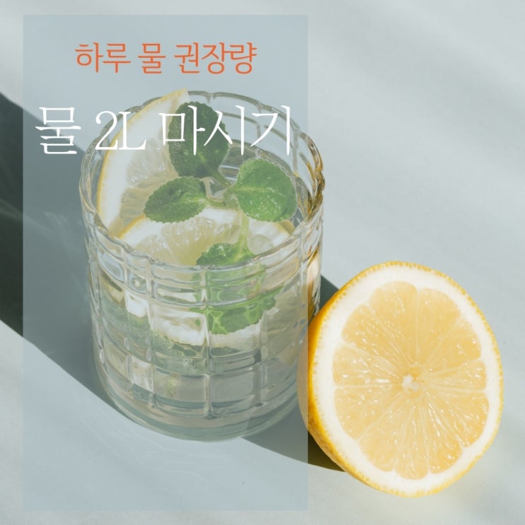  하루 물 권장 섭취량 2L. 물 많이 마시면 좋은 점은 다이어트 효과? 물 마시기의 효과