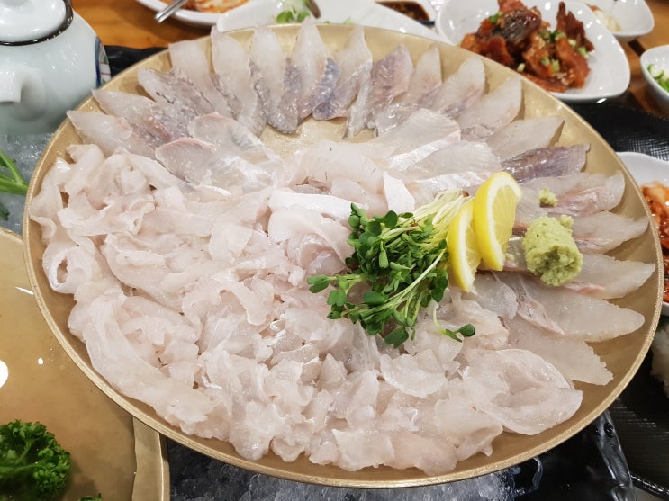 대구 신매 횟집 맛집을 찾는다면 서민수산회 후회 없는 맛 피자도 나오네 대구 신매 횟집 맛집을 찾는다면 서민수산회 후회 없는 맛 피자도 나오네