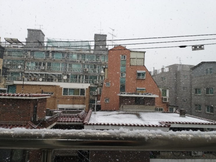  [20210128]서울폭설 시작