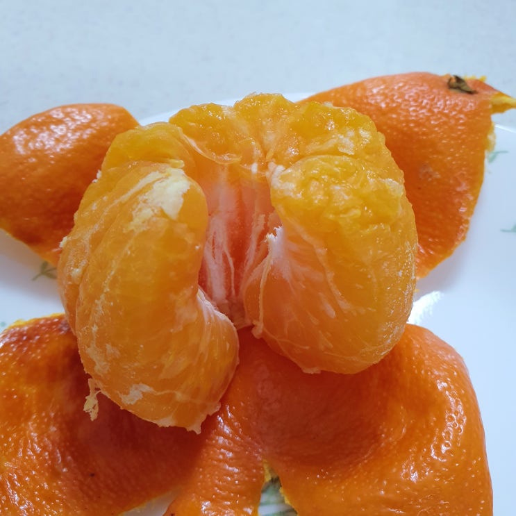  에어프라이어 귤구이 당도 높아 먹기 좋아요
