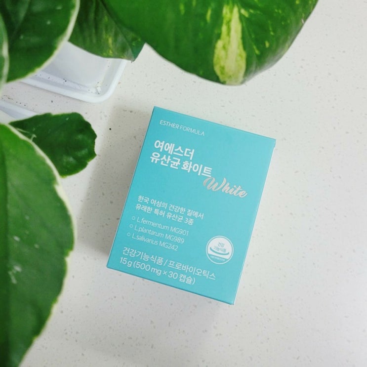 여에스더 유산균 화이트 여성 맞춤형 영양제 리뷰 여에스더 유산균 화이트 여성 맞춤형 영양제 리뷰