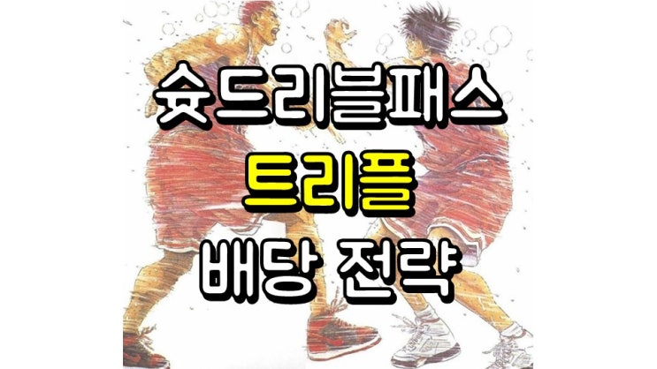  슛, 드리블, 패스 트리플 배당 전략
