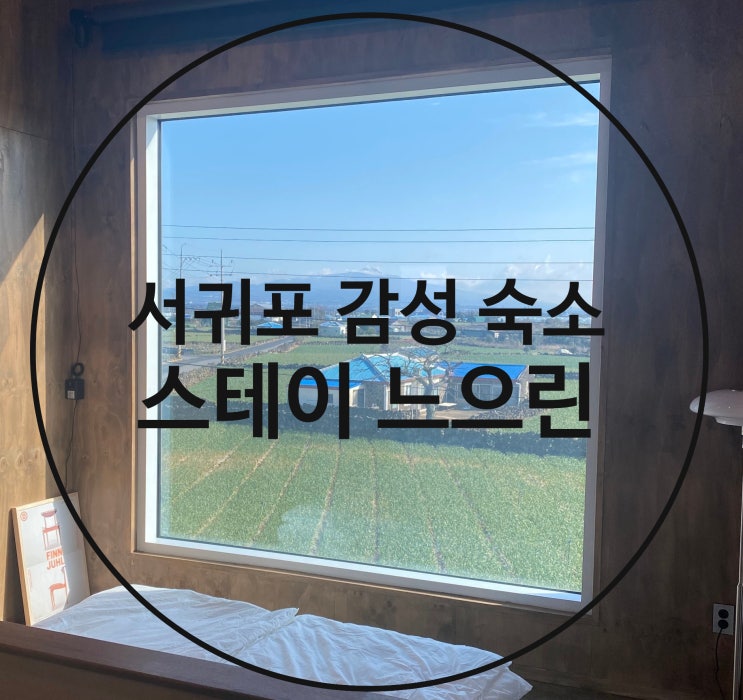  제주도 서귀포 감성 독채 숙소 추천 / 스테이 느으린 /느으린