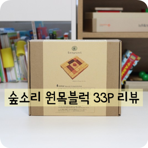  숲소리 천연블록 33P, 안전한 원목 아이장난감 내돈내산 후기