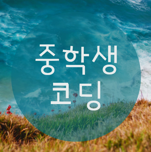  중학생코딩 교육을 지금부터 시작해야 하는 이유?