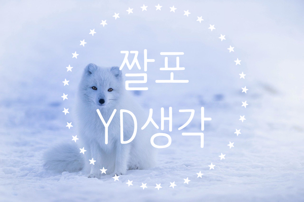 [일상생각/짤포] 눈이 온다, JK 김동욱, 게임스탑(AMC)