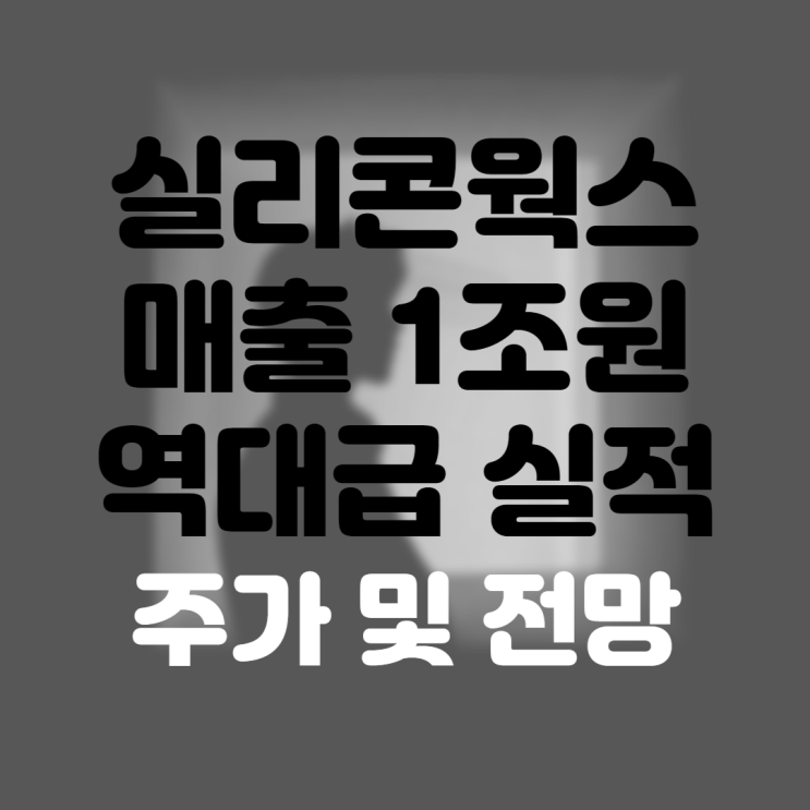  실리콘웍스 주가 주식 전망 및 실적 배당금