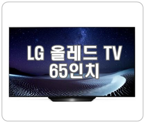  LG 올레드 TV 65인치 OLED65BXFNA