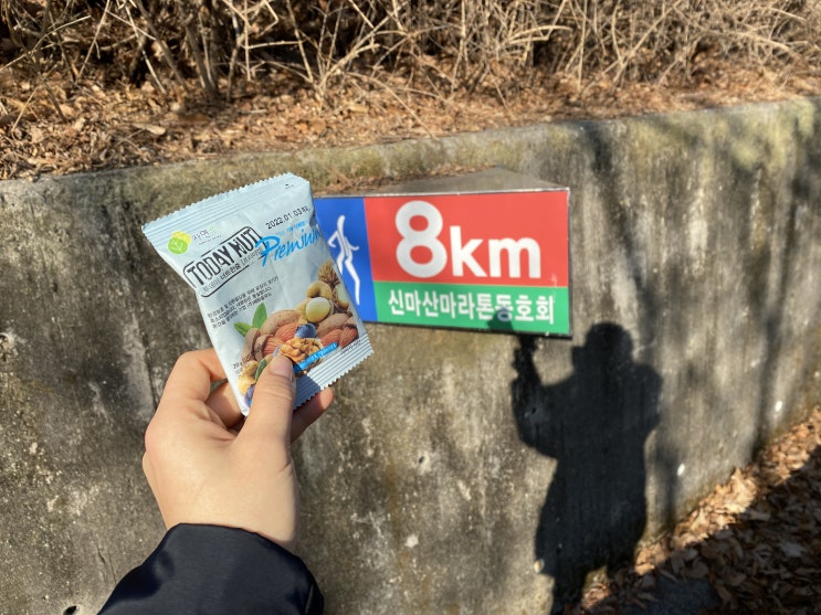  투데이 너트한줌 :: 뇌의 활성화를 목표로 우적우적