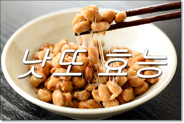  낫또 효능 풀무원 나또에 요플레 섞어 먹기