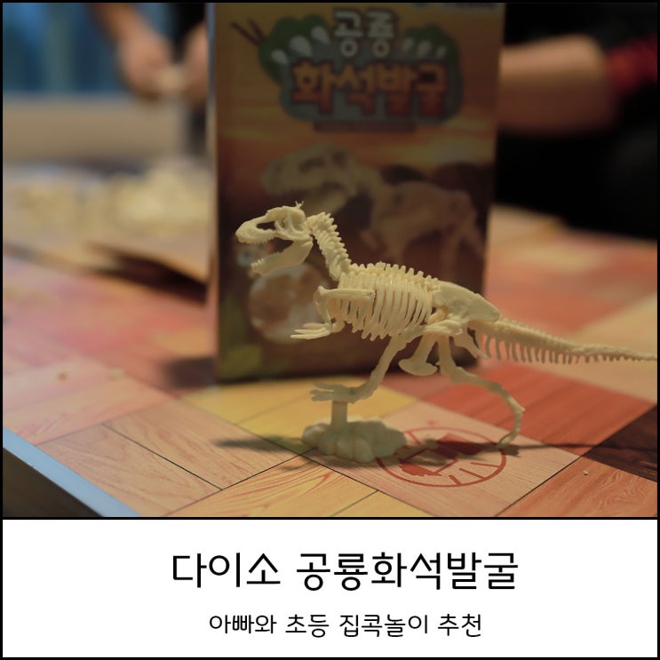  아빠와 함께 초등 집콕놀이 다이소 공룡화석발굴키트
