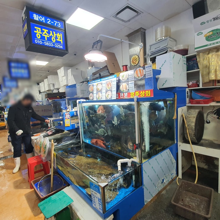  노량진 수산시장 공주상회 (3.7)(내돈내산)