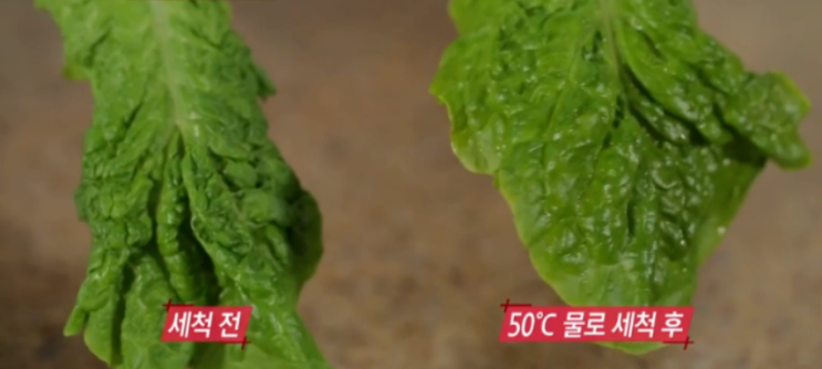  시든 채소 살리는 법 (ft. 기적의 채소 고기 생선 세척법) 50도 물 만드는 법