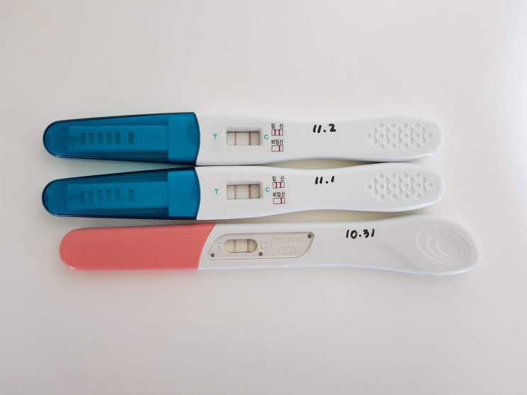 임신확인! 임신테스트기 사용기