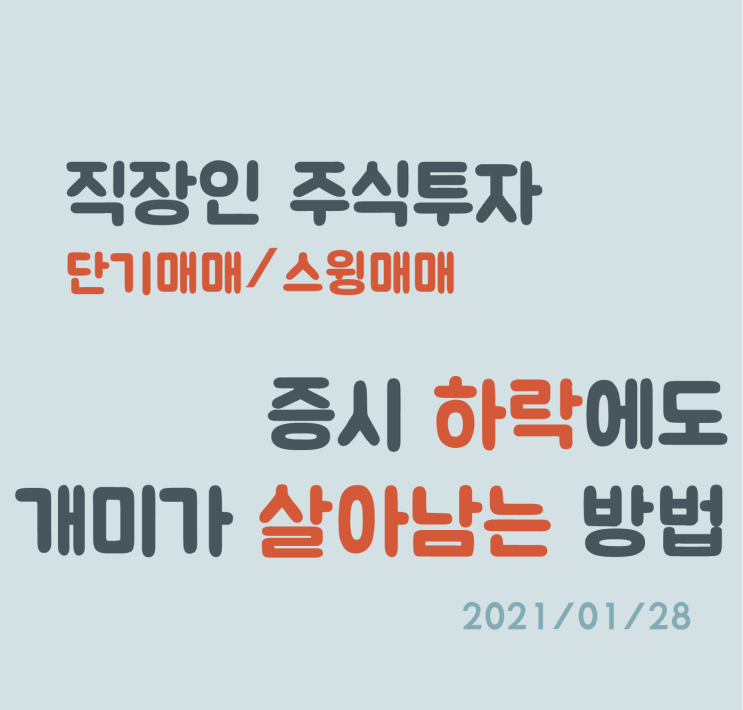 증시의 급락에도 개미가 살아남는 방법