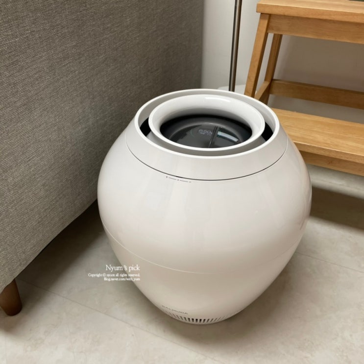  발뮤다 가습기 ERN-1100SD (자연기화식) 실사용 후기