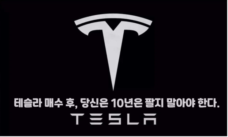  [주식꿀팁15] 테슬라주식.. 당신은 어제 분할매수를 시작했는가?