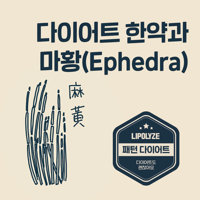 마포 다이어트 한의원. 다이어트 한약과 마황(Ephedra). 효능과 부작용. 어떻게 봐야 할까요. 마포 다이어트 한의원. 다이어트 한약과 마황(Ephedra). 효능과 부작용. 어떻게 봐야 할까요.