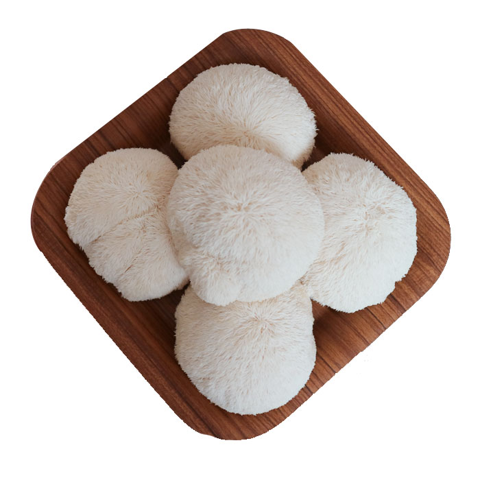 많이 찾는 모닝듀 무농약 노루궁뎅이버섯 1kg, 6팩 추천해요 많이 찾는 모닝듀 무농약 노루궁뎅이버섯 1kg, 6팩 추천해요