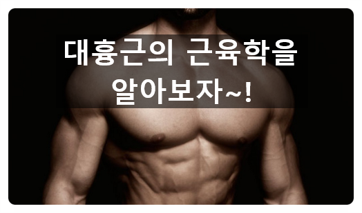  자세를 안좋게 만드는 근육 대흉근의 근육학!